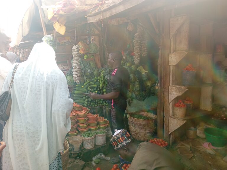 Traders and shoppers at Bakin Dogo Market in Kaduna North, Nigeria