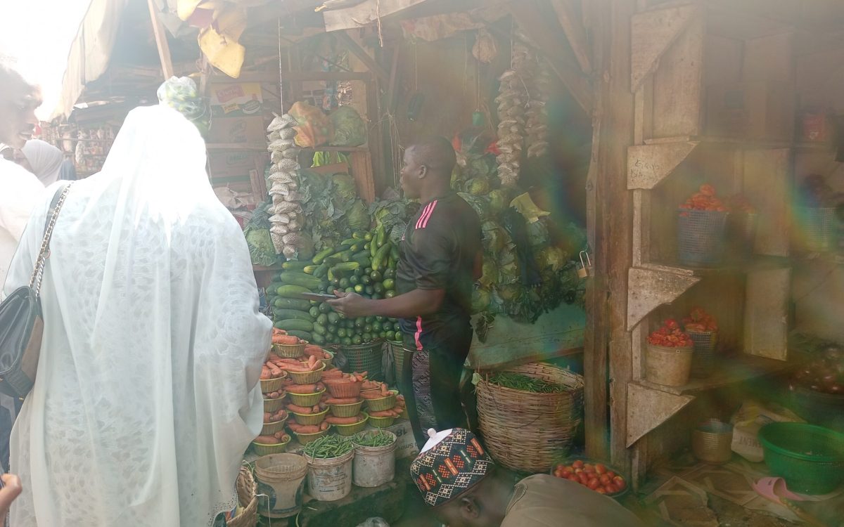 Traders and shoppers at Bakin Dogo Market in Kaduna North, Nigeria